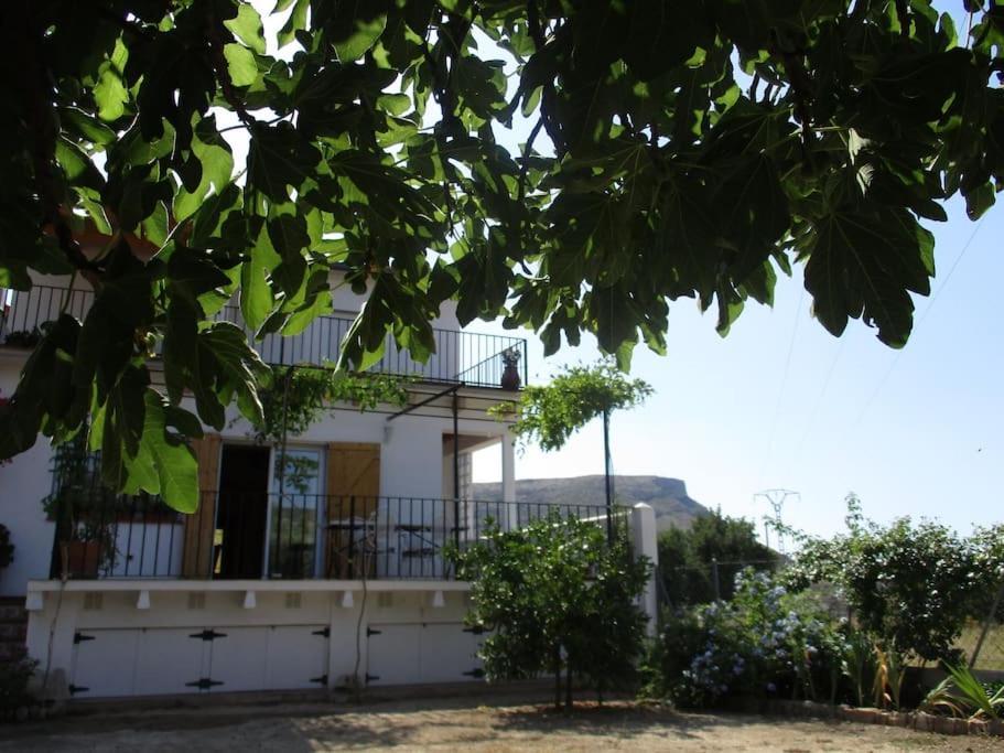 Villa Casa La Higuera Chulilla Exterior foto
